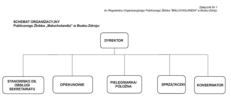 Struktura organizacyjna